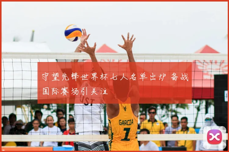 守望先锋世界杯七人名单出炉 备战国际赛场引关注