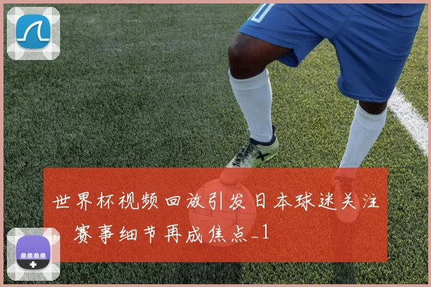 世界杯视频回放引发日本球迷关注,赛事细节再成焦点_1