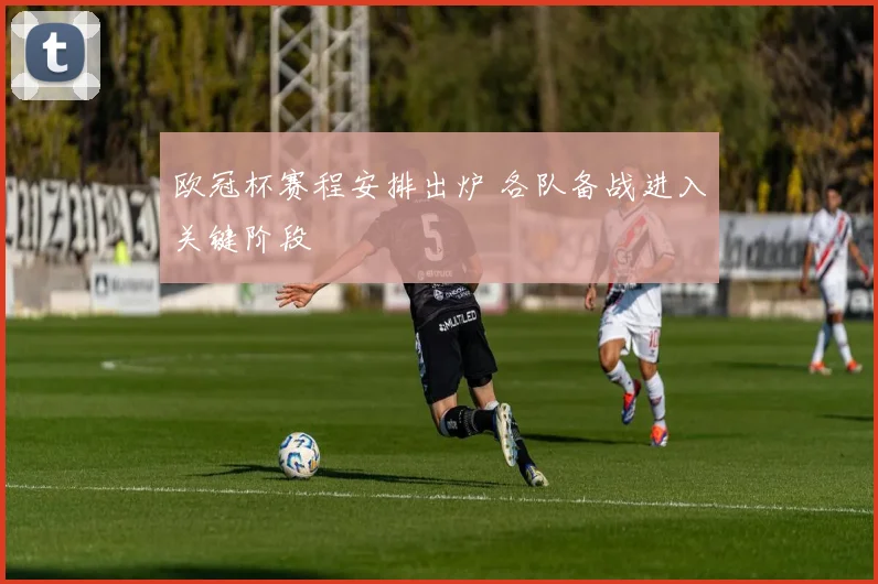 欧冠杯赛程安排出炉 各队备战进入关键阶段