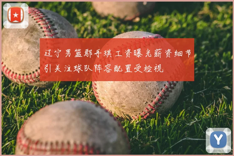 辽宁男篮鄢手琪工资曝光薪资细节引关注球队阵容配置受检视