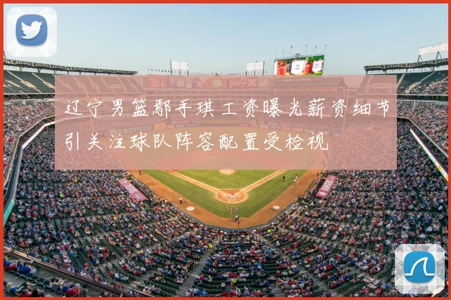 辽宁男篮鄢手琪工资曝光薪资细节引关注球队阵容配置受检视