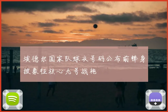 埃德尔国家队球衣号码公布前锋身披象征核心九号战袍