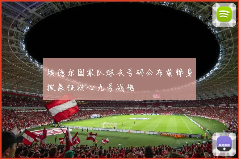 埃德尔国家队球衣号码公布前锋身披象征核心九号战袍