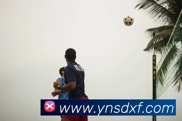 开云手机在线登陆官网APP 高清赛事图